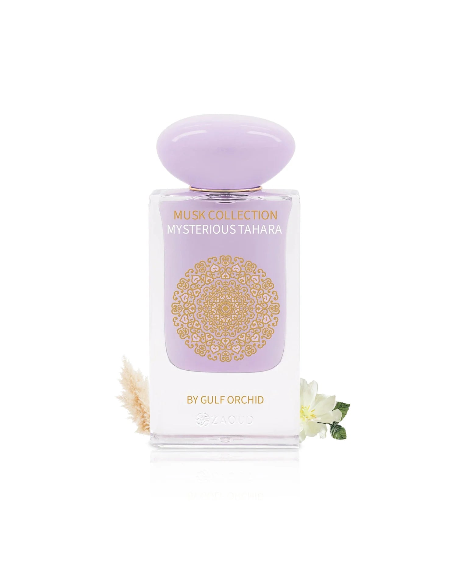 GULF ORCHID MYSTERIOUS TAHARA