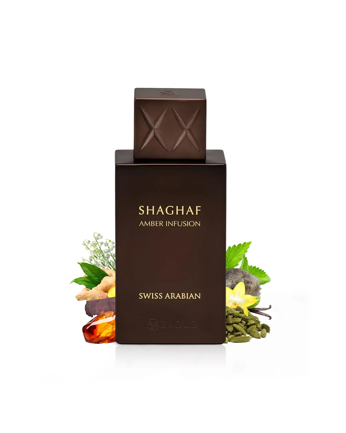 SWISS ARABIAN SHAGHAF AMBER INFUSION