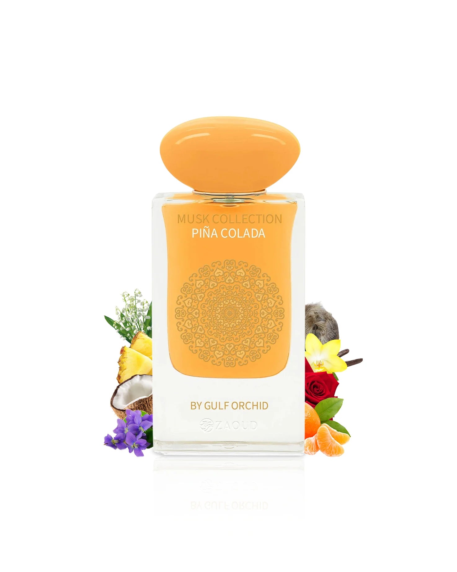 GULF ORCHID PINA COLADA